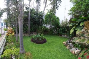 Gallery image of The Branch B&B in Negombo