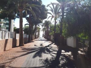 Fotografie z fotogalerie ubytování Apartamento residencial Las Palmeras v destinaci Benicàssim