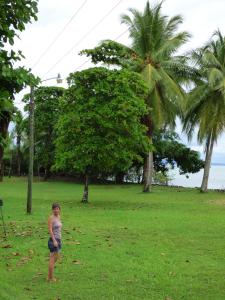 Corcovado Beach Lodge في بويرتو خيمينيز: فتاة صغيرة تقف في حقل مع طائرة ورقية