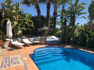 una piscina con sillas, sombrilla y palmeras en Villa Breeze Boutique Guest Rooms, Marbella, en Marbella