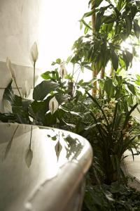 baño con lavabo y plantas en una habitación en Hotel & Residenza 100 Torri en Ascoli Piceno