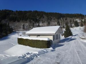 een huis bedekt met sneeuw in het midden van een weg bij La Bresse Hautes Vosges Chalet "Le Piéna" in La Bresse