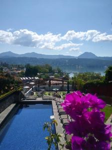 a view of a swimming pool with purple flowers at Araucaria Hotel Boutique in Valle de Bravo