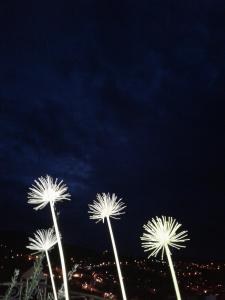 Fotografie z fotogalerie ubytování Dar Lbakal v destinaci Šafšawán
