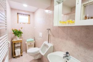 ein Badezimmer mit Toilette und Waschbecken in der Unterkunft Apartment Ivanka Cvetek in Bohinj + 59 Fotos