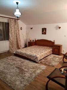 a bedroom with a bed and a window at Casa 4 Anotimpuri in Gura Bîscei