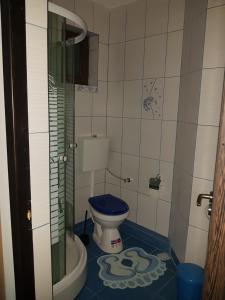 a bathroom with a toilet with a blue seat at Casa 4 Anotimpuri in Gura Bîscei +91 photos