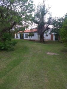 un patio con una casa y un árbol en La Alegria en Nono