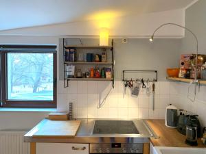 eine Küche mit Spüle und Herd Oberer Backofen in der Unterkunft Hinterhaus Apartment No1 in Leipzig + 7 Fotos