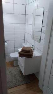 een badkamer met een wastafel, een toilet en een spiegel bij Holdek Apartamenty Francuska in Katowice