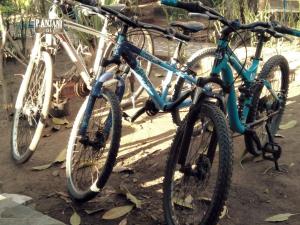 dos bicicletas están estacionadas una al lado de la otra en Pondok Anjani, en Gili Meno