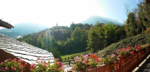 a view of a mountain with flowers on a fence at Il Rifugio della Volpe in Introd