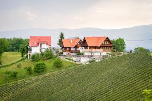 uma casa numa colina ao lado de uma vinha em Kellerstöckl em Leutschach