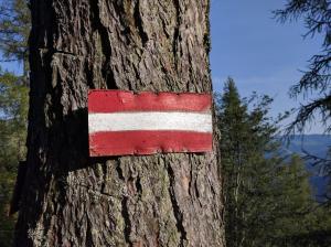Przyroda w pobliżu tego domu wakacyjnego