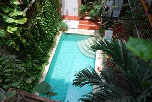 einen Blick über einen Pool mit Pflanzen in der Unterkunft Hotel Don Pedro De Heredia in Cartagena de Indias