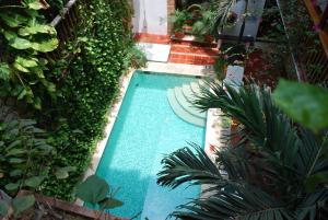 una vista sul tetto di una piscina con piante di Hotel Don Pedro De Heredia a Cartagena de Indias