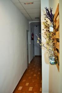 Fotografie z fotogalerie ubytování Pension Castil v destinaci Granada