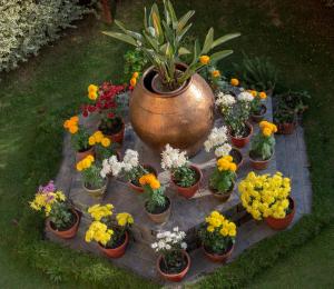 Shaligram Hotel & Spa外面的花园