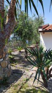 Vonkajšia záhrada v ubytovaní PICCOLA CASA CON GIARDINO