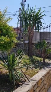 Vonkajšia záhrada v ubytovaní PICCOLA CASA CON GIARDINO