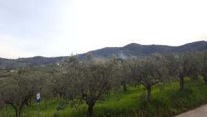 Paesaggio naturale nelle vicinanze della casa vacanze