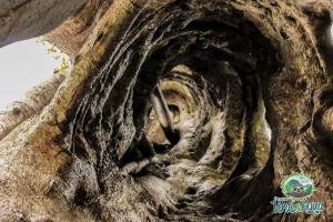 Imagen de la galería de Parque Verde y Agua, en Fusagasuga