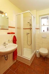 a bathroom with a shower and a sink and a toilet at Haus Grete Wohnung 13 in Ostseebad Koserow