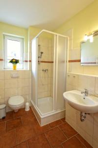 a bathroom with a shower and a toilet and a sink at Haus Grete Wohnung 14 in Ostseebad Koserow