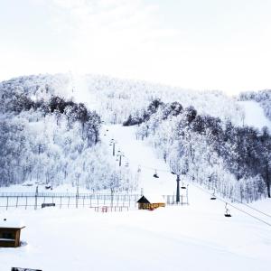 The Green Park Kartepe during the winter