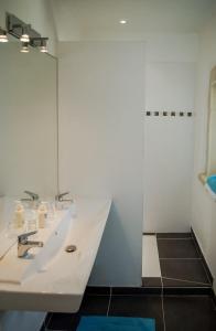 a bathroom with a white sink and a shower at La Moutière in Colonzelle
