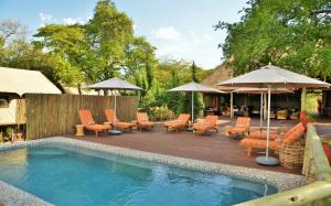 una piscina con sillas y sombrillas y una terraza con en Jackalberry Chobe, en Kasane