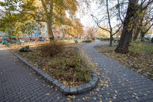 een pad in een park met bomen en bladeren bij Studzienna in Wrocław