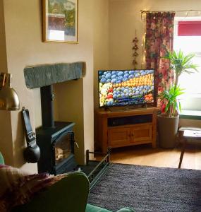 a living room with a fireplace and a television at Coniston Cottage Lake View in Coniston