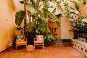 two chairs and a tree in a room with plants at La Casona Beach House in Valencia