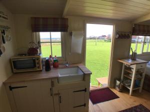 a kitchen with a sink and a microwave and a window at The Rowan Shepherds Hut in Eyemouth
