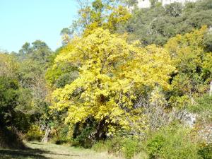 En hage utenfor La Ressence Luberon