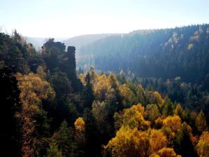 ケーニッヒスシュタイン・アン・デ・エルベにあるSachsenstübelの秋の森の空景