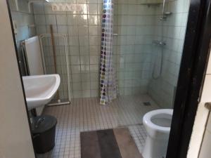 a bathroom with a toilet and a sink and a shower at Vosseven 78 Melde in Stramproy +9 photos
