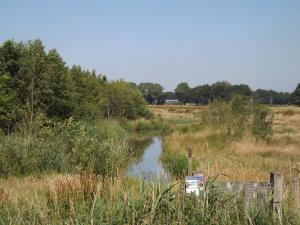 a small pond in the middle of a field at Vosseven 78 Melde in Stramproy
