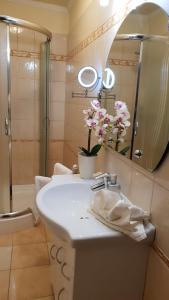 a bathroom with a sink and a shower and a mirror at Hotel Isabell Győr in Győr