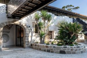 Gallery image of Domaine Tarbouriech, Hôtel & Spa in Marseillan