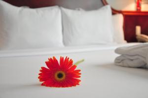 Postel nebo postele na pokoji v ubytování Kingdom Hotel
