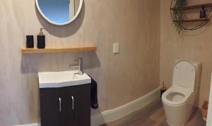a bathroom with a sink and a toilet at Kotahi Cottage in Cambridge