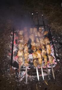 a bunch of meat on skewers cooking on a grill at Tbilisi guesthouse Nini in Tbilisi City