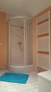 a shower in a bathroom with a blue rug at Ferienwohnung Blütenstadt in Leichlingen +26 photos