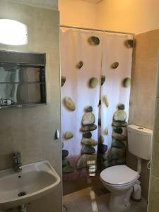 a bathroom with a toilet and a sink and a shower at Hanna Azar in Bethlehem