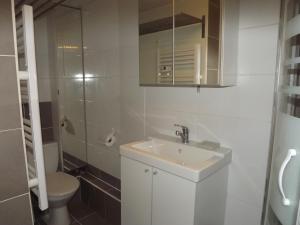 een witte badkamer met een wastafel en een toilet bij Studio La Muzelle Bourg d'Oisans in Le Bourg-dʼOisans