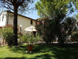 un patio con árboles y una sombrilla y una casa en Agriturismo La Ginestrella, en Civitella D'Arna