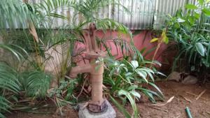 Zahrada ubytování Adams Wood House Ayurveda Homestay Kochi