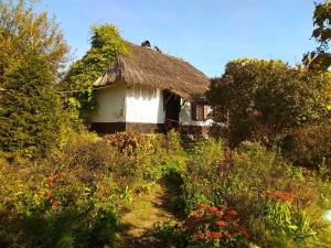 an old house with a thatched roof in a garden at Koryakivskyi Rai in Dmitrenki